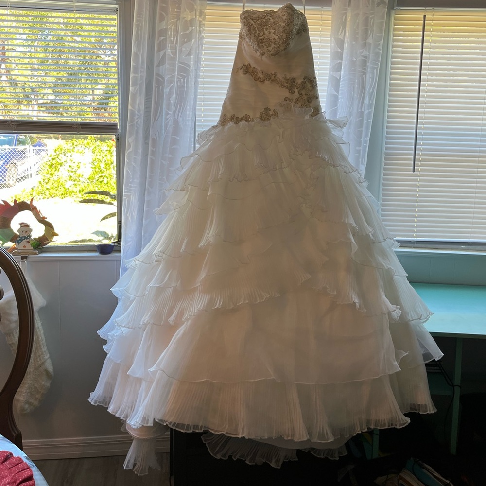 David's Bridal wedding dress
